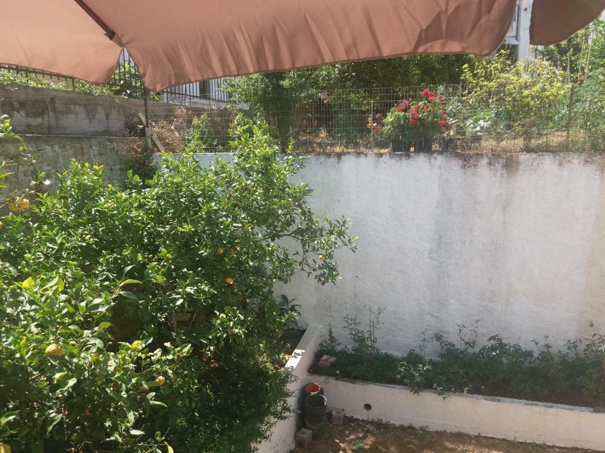 Jenny Studios بيلوس المظهر الخارجي الصورة